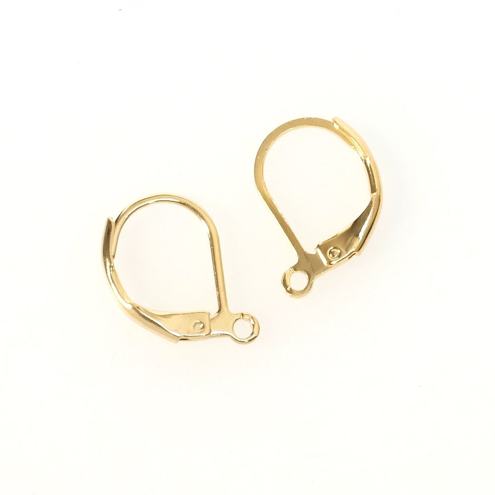 2 boucles d'oreilles dormeuses en acier inoxydable 304 Doré 24K