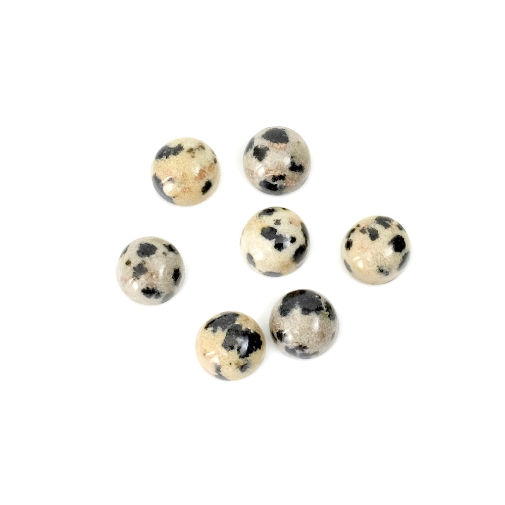 Cabochon pierre naturelle Rond 6mm Jaspe Dalmatien